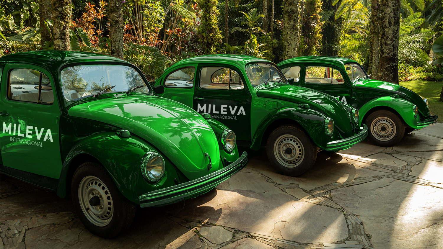 Mileva-Internacional-Nosso-Blog Mileva-Internacional-Nosso-Blog